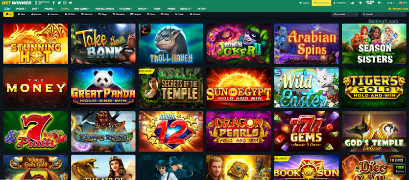 BetWinner Online Casino and Sportsbook Your Ultimate Gaming Destination