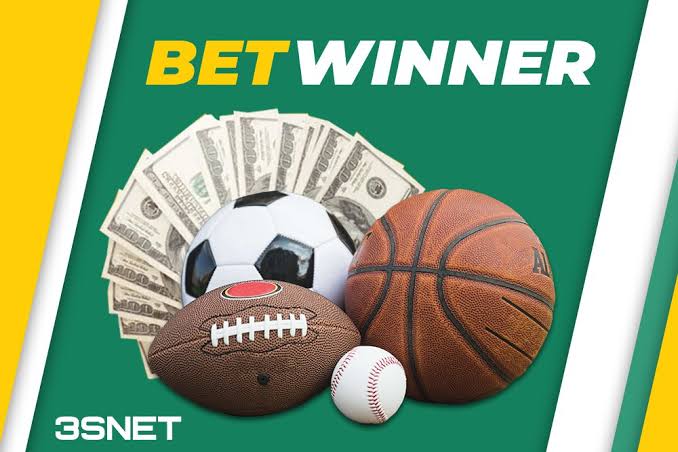 Comprehensive Review of BetWinner Sportsbook A Bettor's Paradise