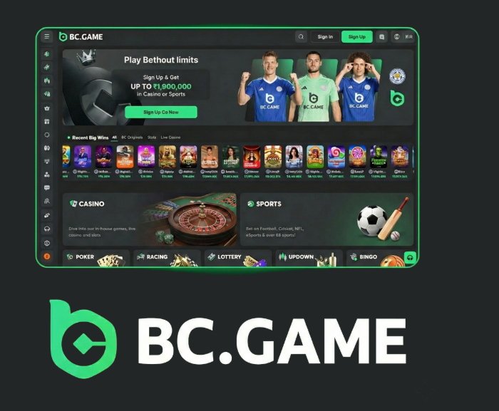 Exploring BC.Game Bonuses Your Guide to Maximizing Winnings
