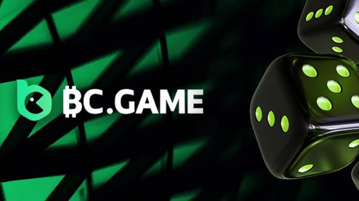 The Complete Guide to BC.Game Mirror Login Process